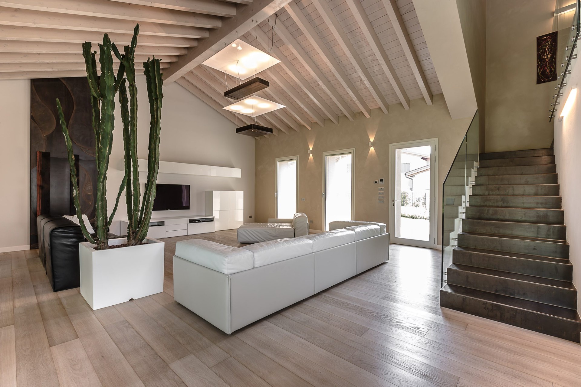 Zona living con parete materica scura e cactus scultoreo